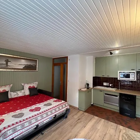 Apartman Dent Du Caiman, Hyper Centre, Parking, Vue Mont Blanc